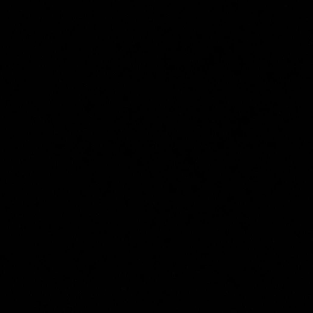 Rybka10
