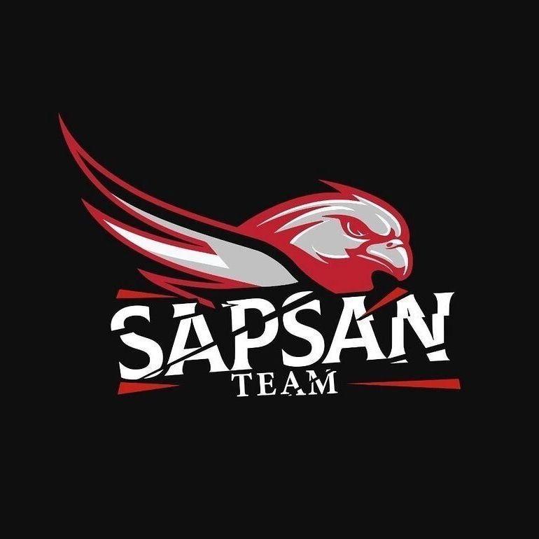 iSapSan avatar