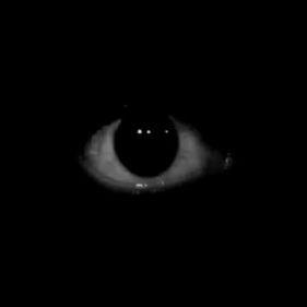 -xQpeek avatar