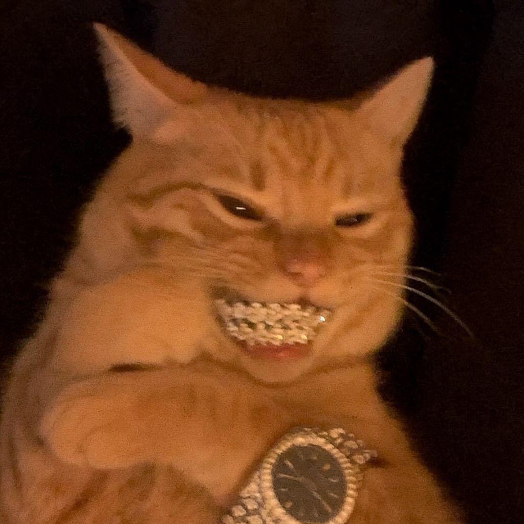 Polakzerrr avatar