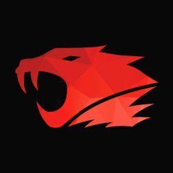 ZF1R avatar