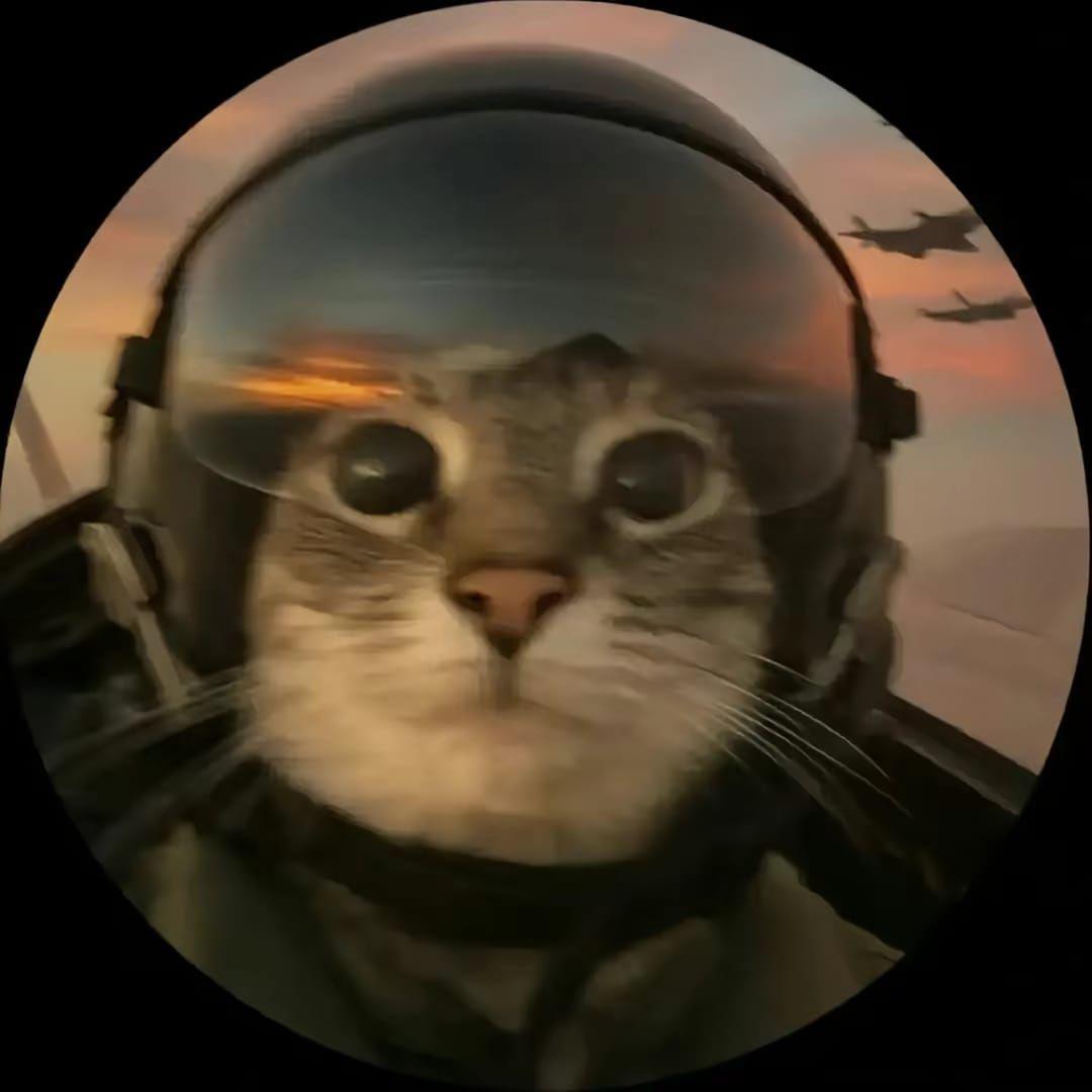 bion4ick avatar