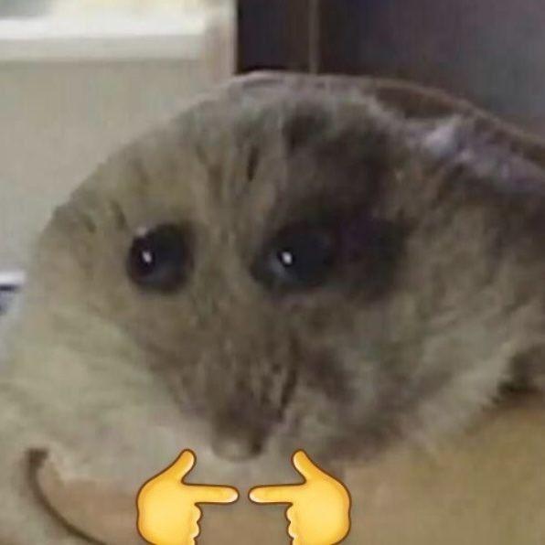nefbis avatar
