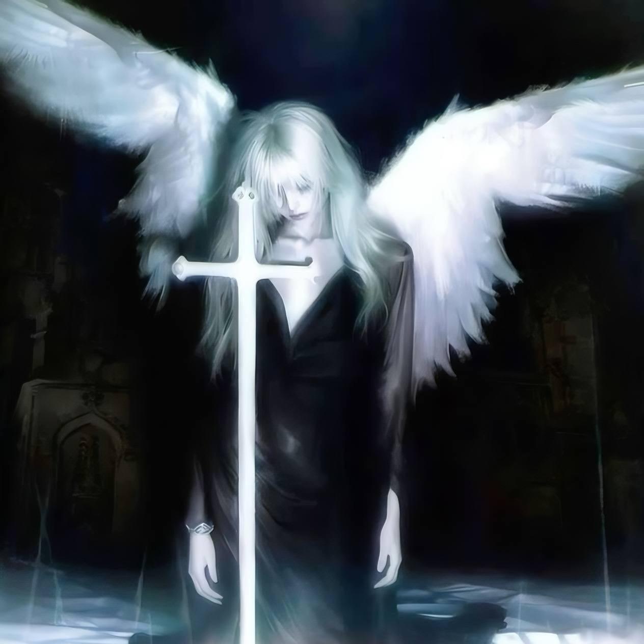 geryach22288 avatar