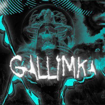 Player Gallimka avatar