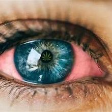 team_ReeD_eye