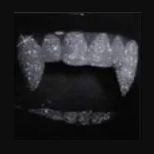 Verissimus-