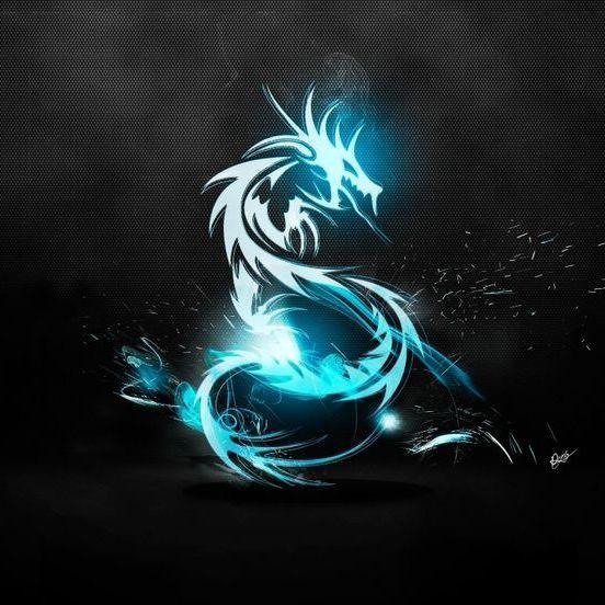 BayDrago avatar