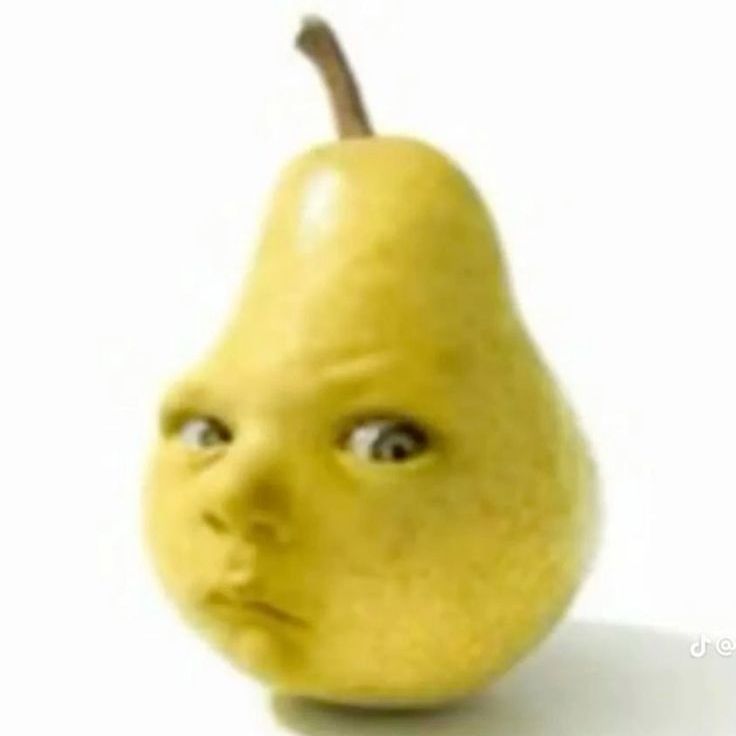 Senqko