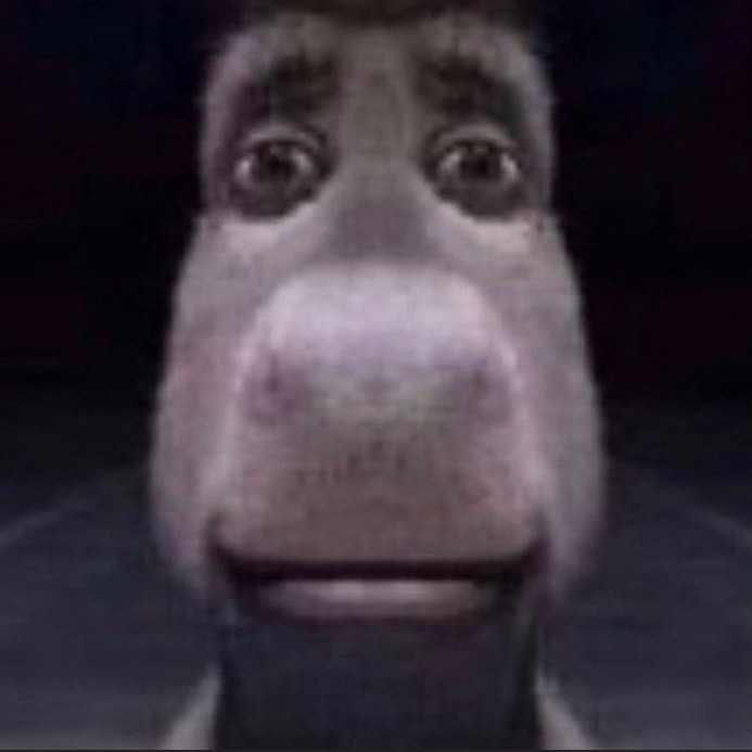 bernizz23