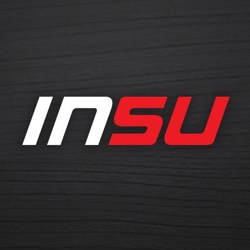 InsuTeam