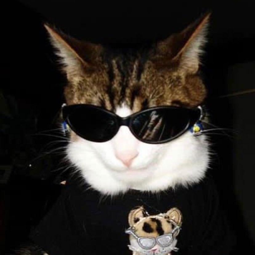Macdouf avatar