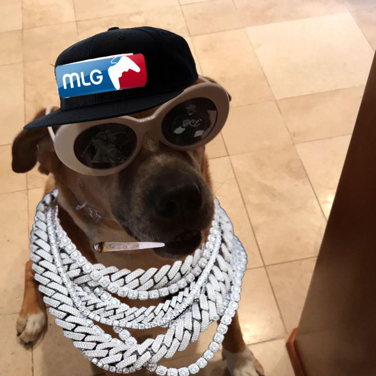 DoggyDogDog avatar