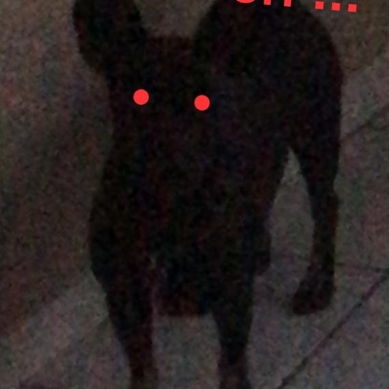 mrcl
