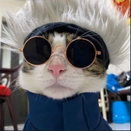 sLayyyer avatar