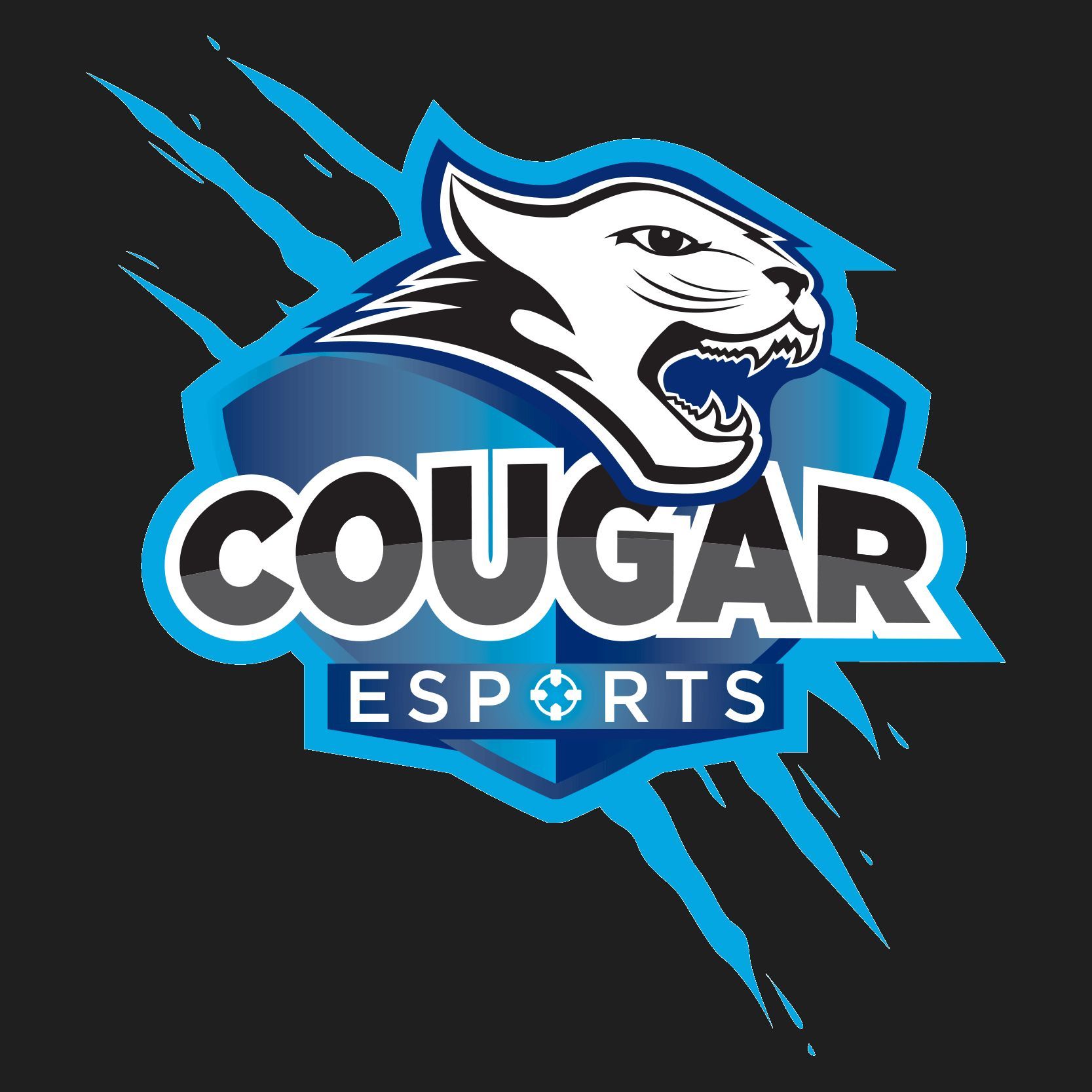 Camden County Cougars CS2