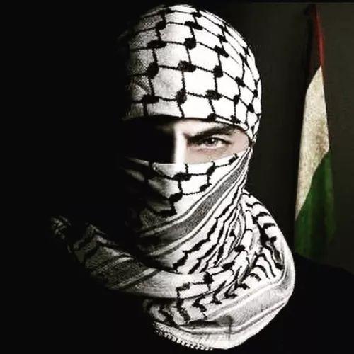 EIlweZ avatar