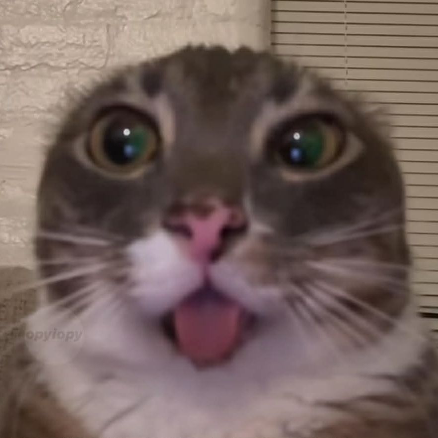 Spooked