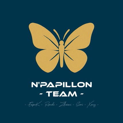NPAPILLON_Team