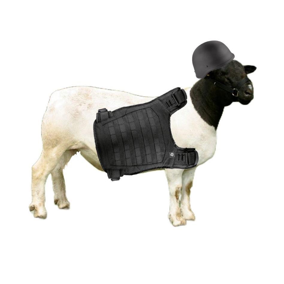 krav4ik9 avatar