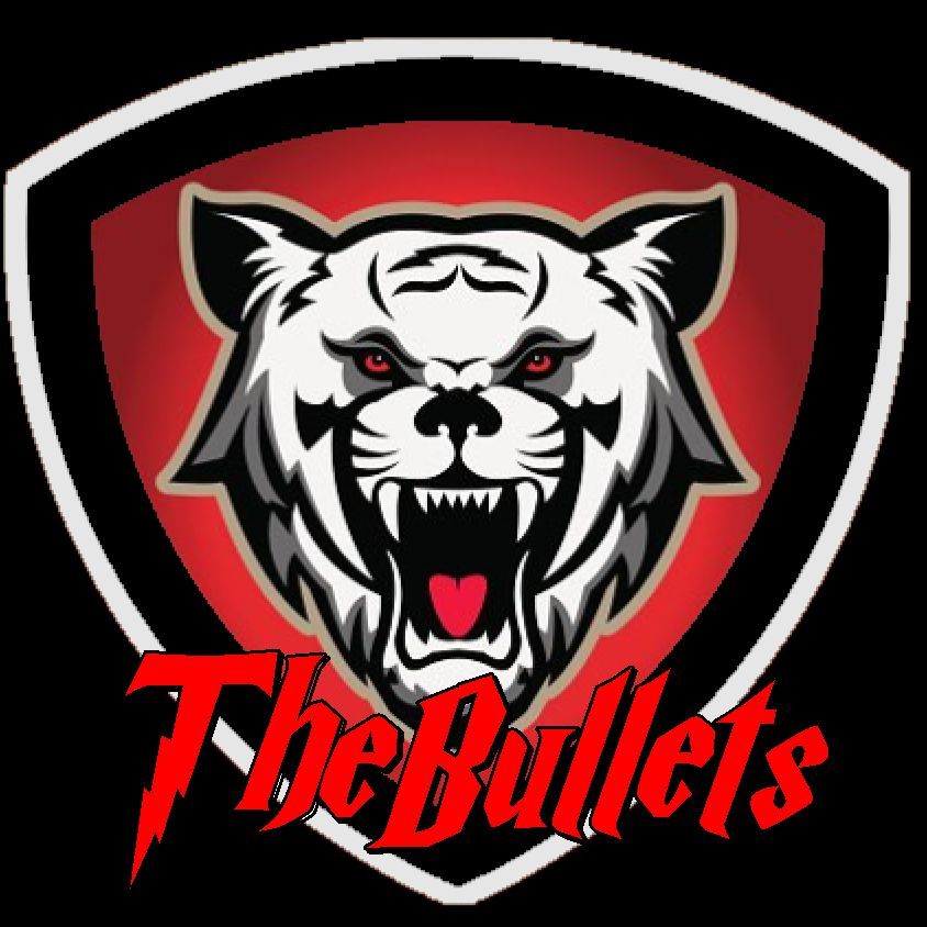 ThE BulletS