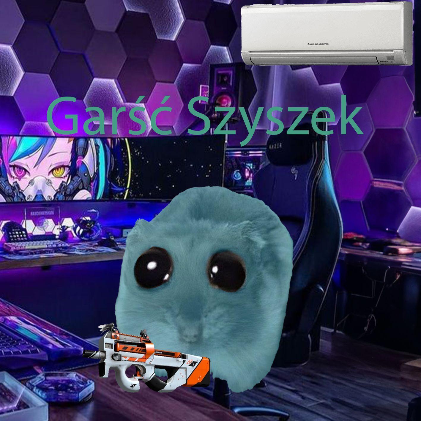 Player GarscSzyszek avatar