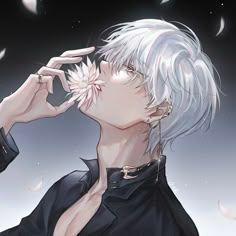 melIy avatar