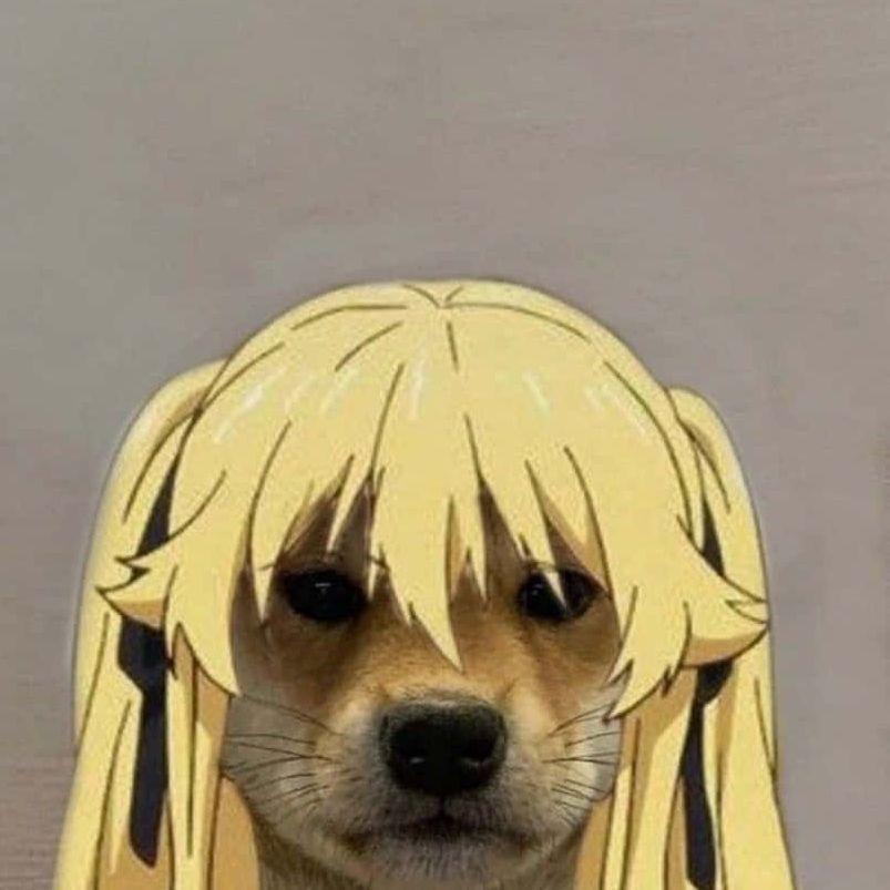 Kokkusibo avatar