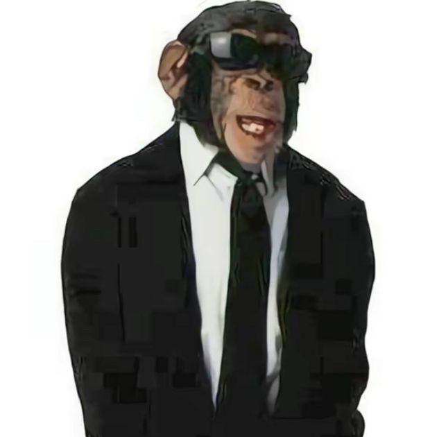 Birgiss avatar