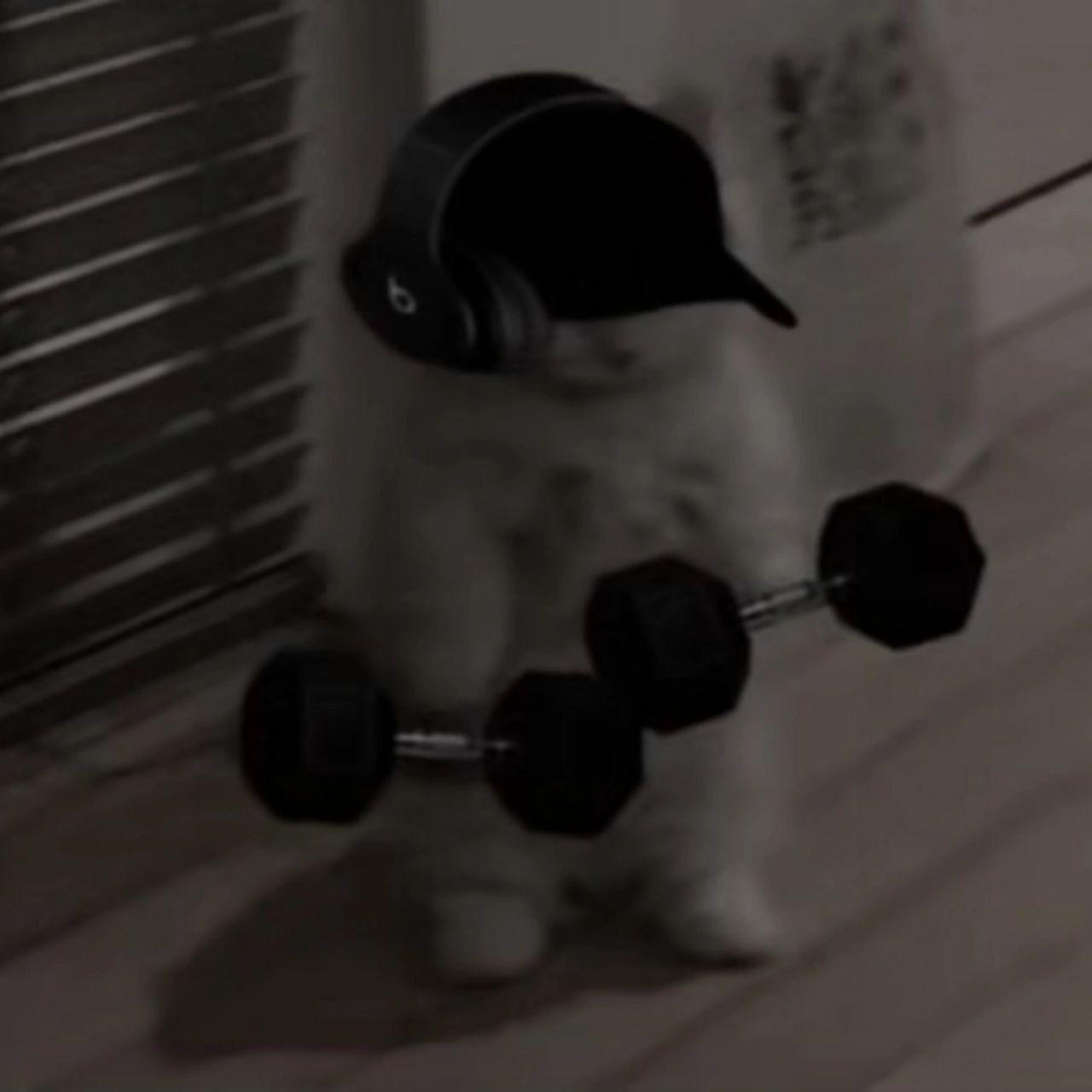 1unkq avatar