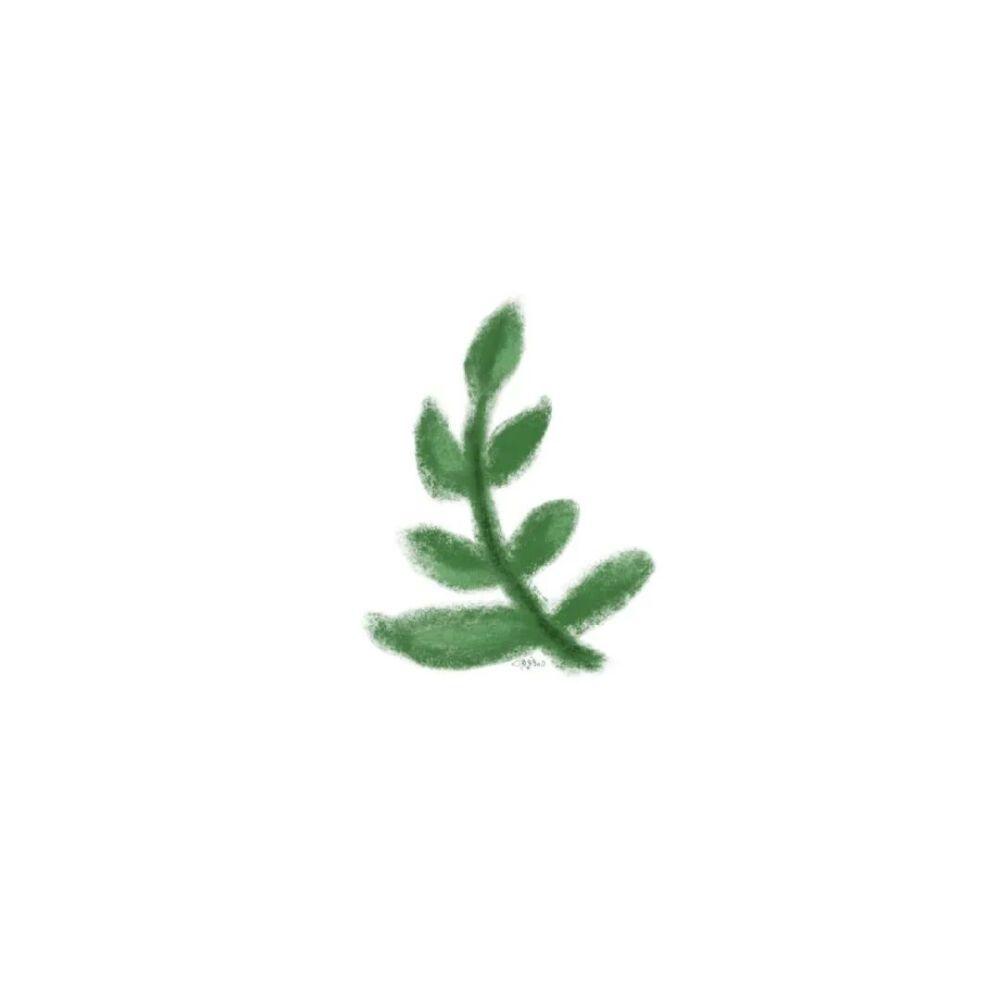 Spritfish avatar