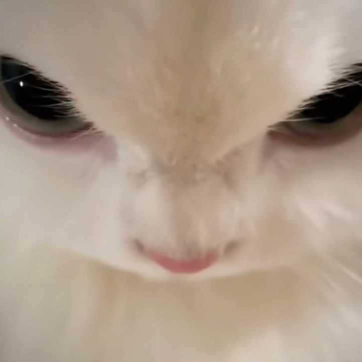 CallMeBianca
