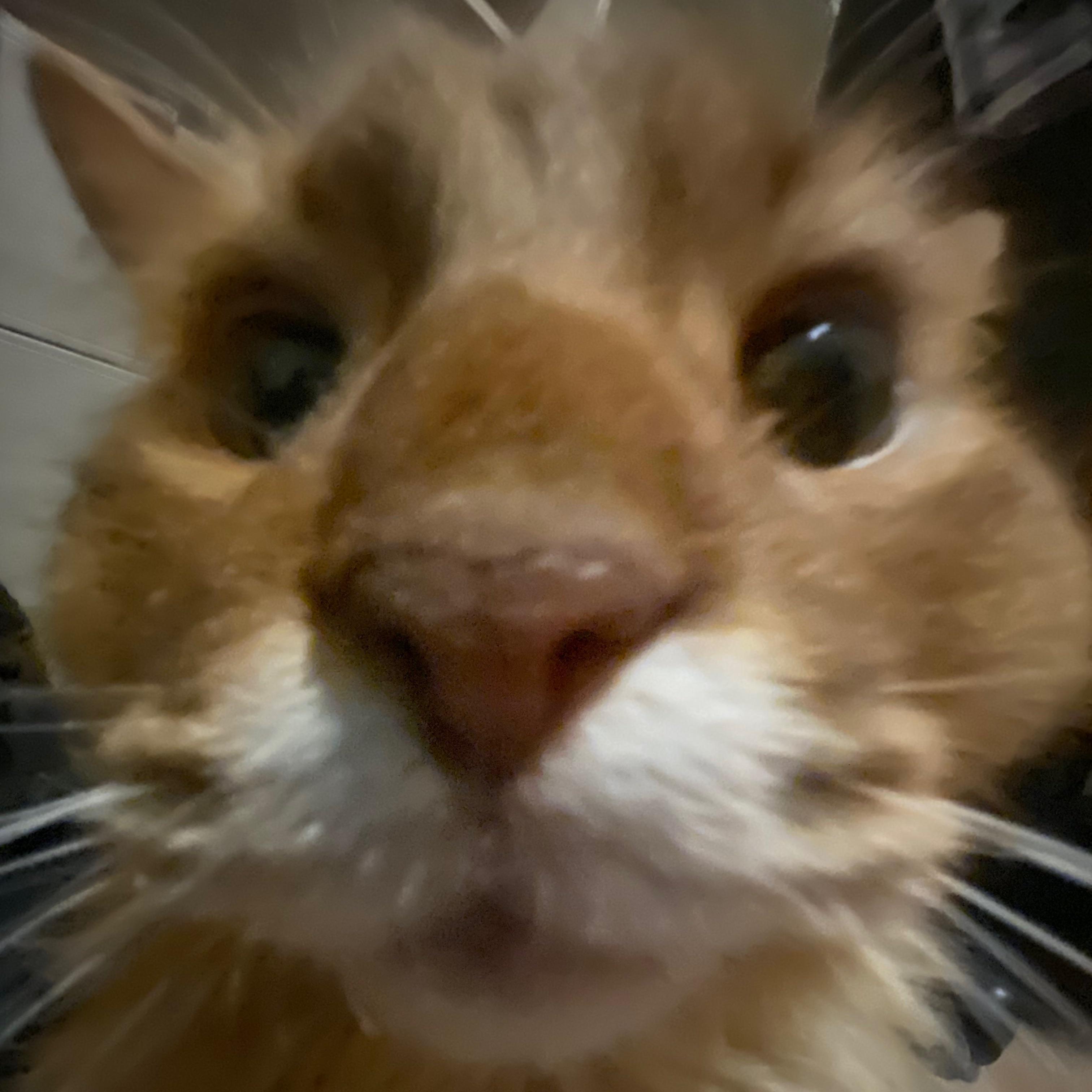 Hrooxi avatar