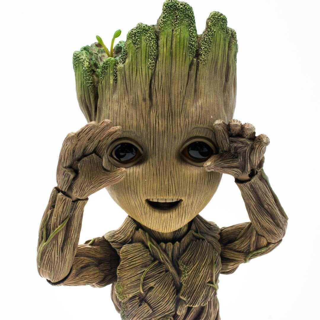 mSxj avatar
