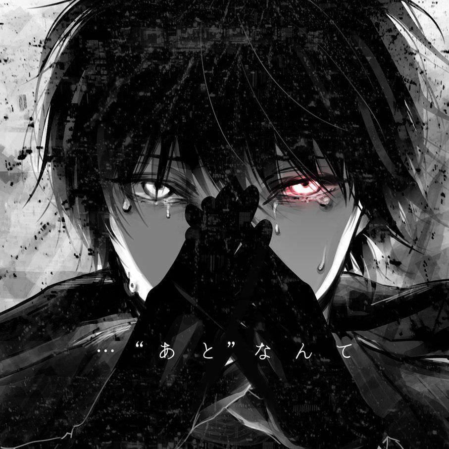 fmssxd avatar