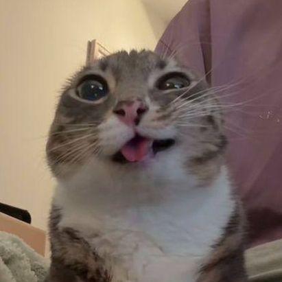 ybivator333 avatar