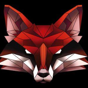 2k_Fox avatar