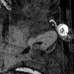 aookigahara avatar