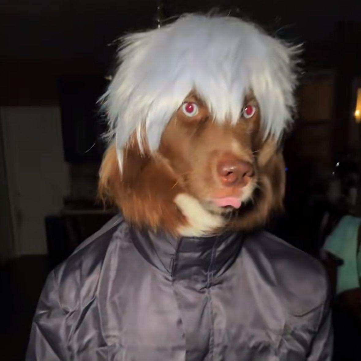 Goosy1337 avatar