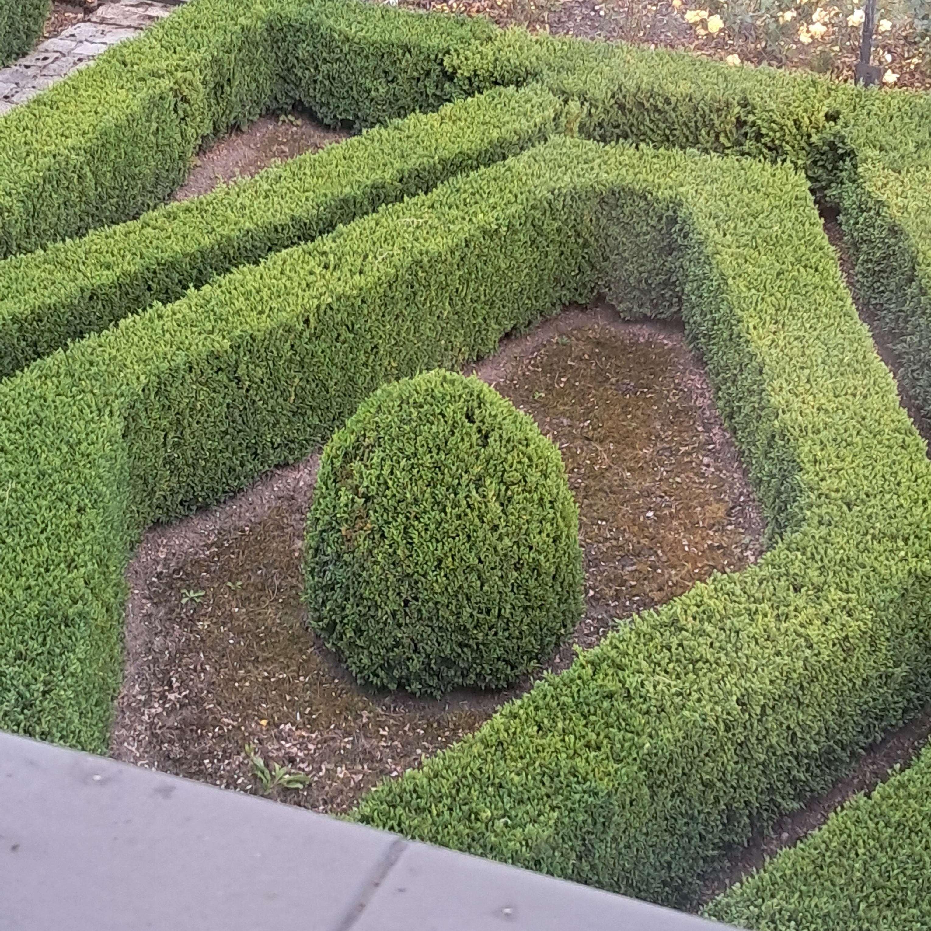 BANDYCIZSLAWNA