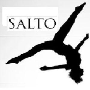 Player -SALTO- avatar