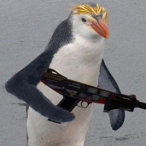 Player Penguin510 avatar