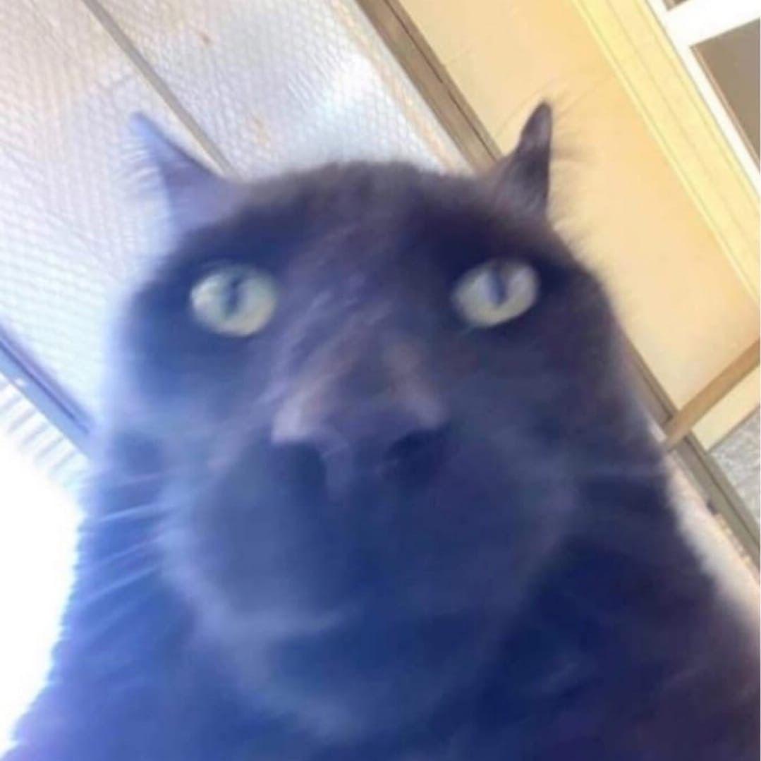 a1enmed avatar