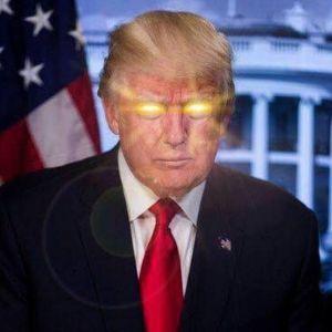 Player D0naldTrump_ avatar