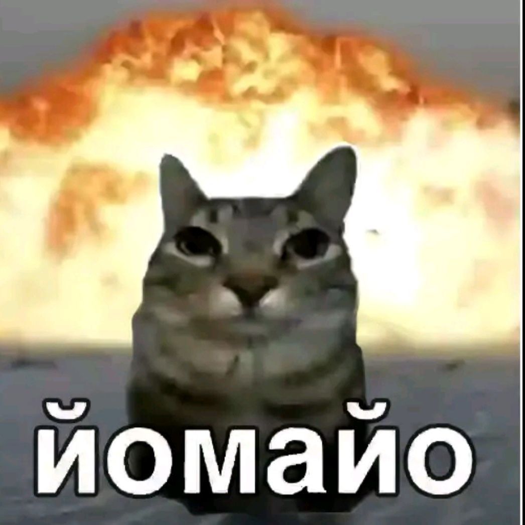 PoPopeVsem