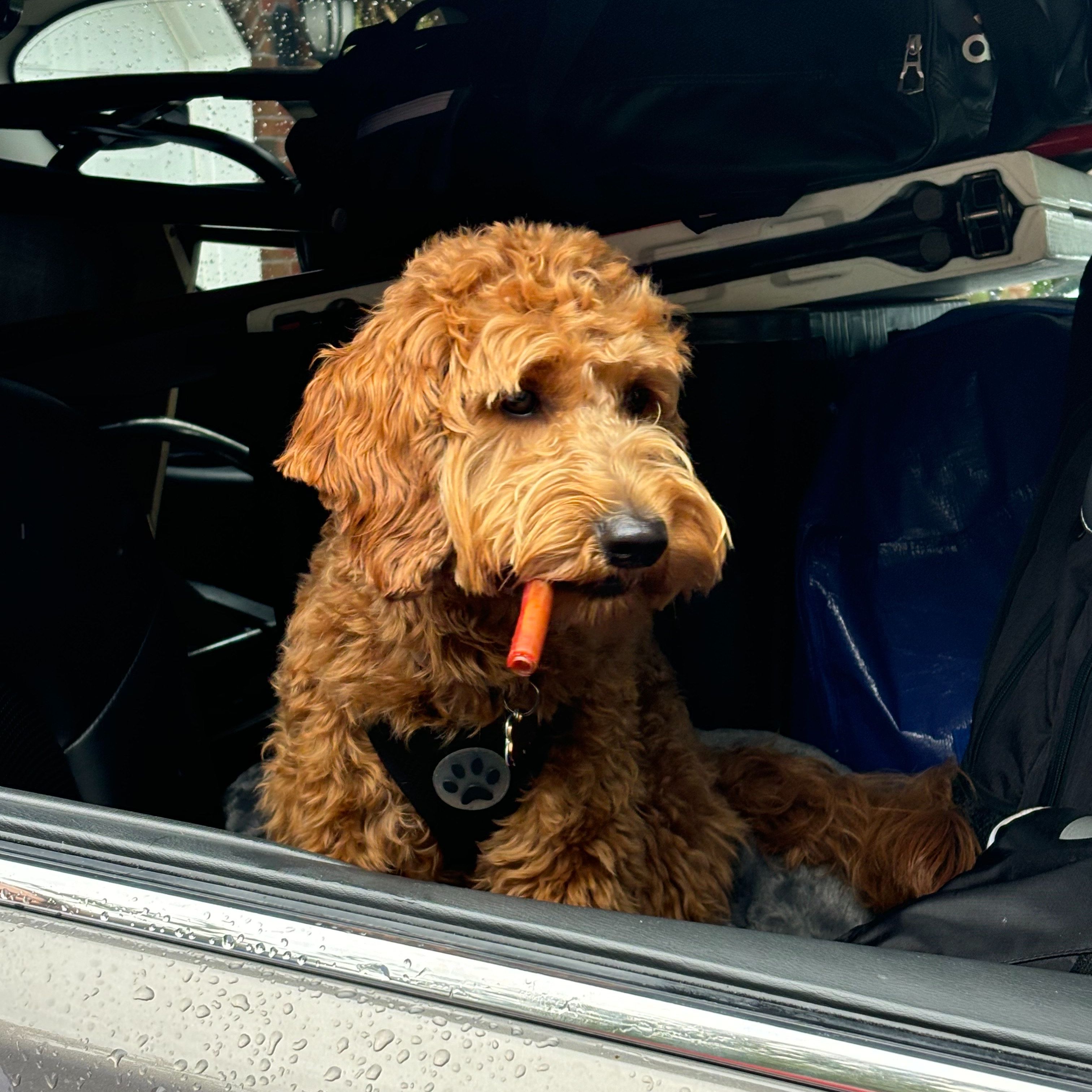 Tooby-