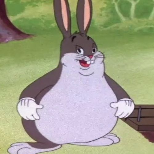 BunnyVi
