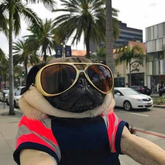 plugAAAAA