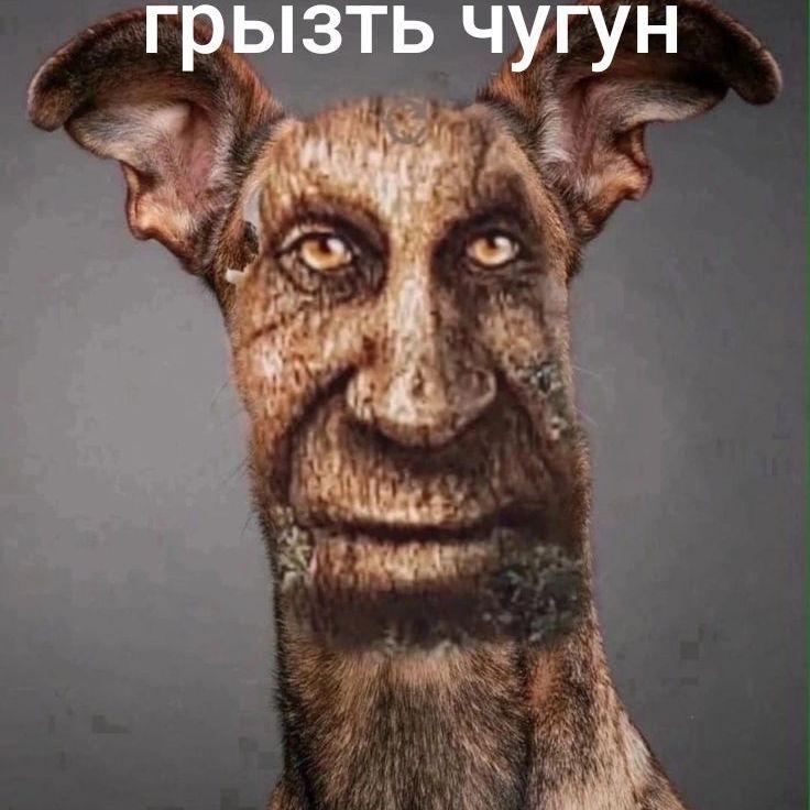 Multiporosya avatar