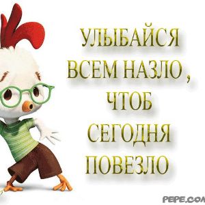 denis11117